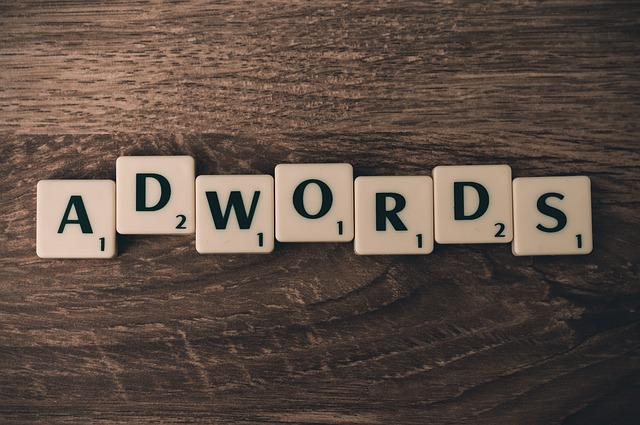 Profesjonalista  w dziedzinie kampani Adwords pomoże i dobierze adekwatną podejście do twojego biznesu.